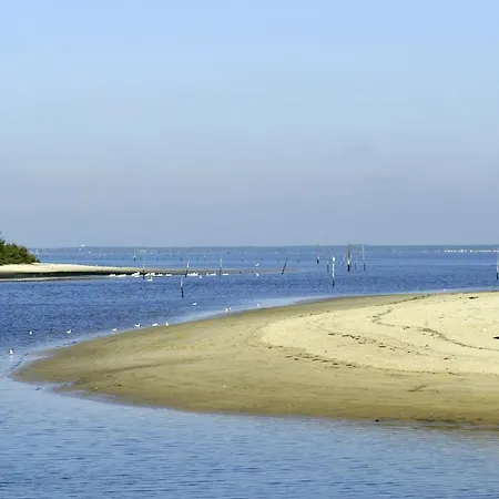 Maison De 3 Chambres Avec Jardin Clos Et Wifi A La Teste De Buch A 3 Km De La Plage La Teste-de-Buch